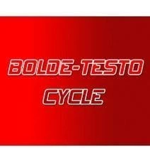 Bolde - Testo Cycle