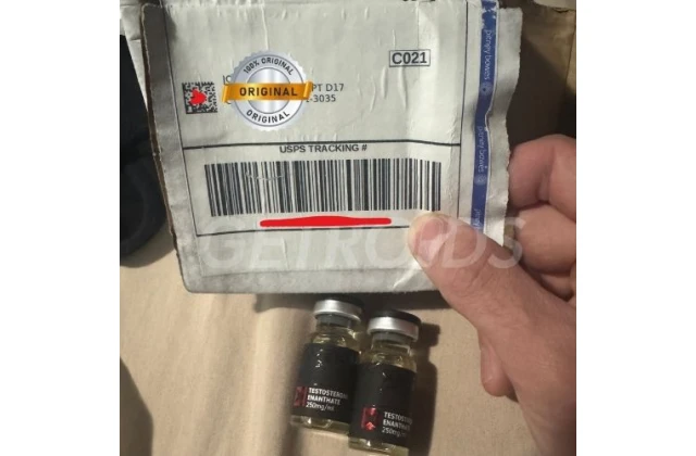 Iurii *** - Testosterone Enanthate 250 mg 10 ml Xeno US