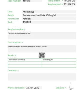 Testosterone Enanthate 250 mg 10 ml Xeno US